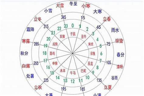 忌木|八字中的五行木该如何理解 八字五行木旺的人忌讳什么